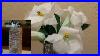 Coffee-Filter-Easter-Lilies-And-Dollartree-Flower-Vase-Diys-01-mo