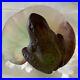 Daum-France-Pate-de-Verre-Small-Frog-on-Lily-Pad-SIGNED-01-bco