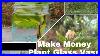 Diy-Make-Money-Plant-Glass-Vase-At-Home-01-ihr