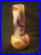 EMILE-GALLE-FRENCH-CAMEO-ART-GLASS-VASE-c-1900-01-zxxb