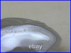 Signed Lalique Clear & Frosted Glass Fillicaria Fern Leaf 4.75 Vase